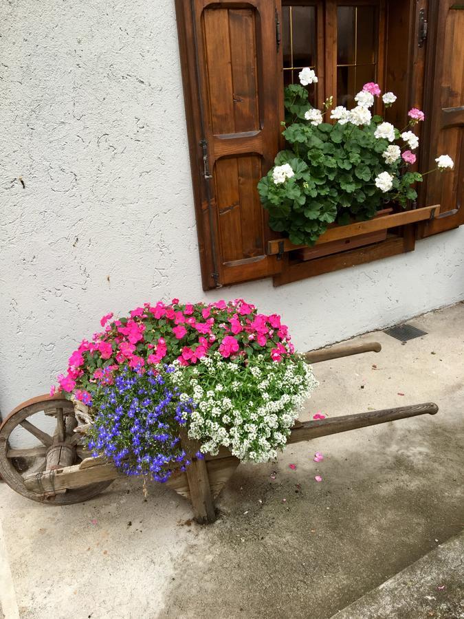 Albergo Meuble Tarandan 上福尔尼 外观 照片